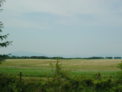 ���R�o�R������