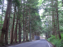 ���R�o�R������