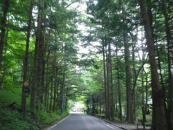 ���R�o�R������