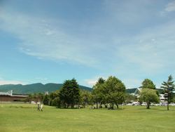 �u�Ő��̂Ђ�΁v