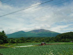 ���z�n�� 