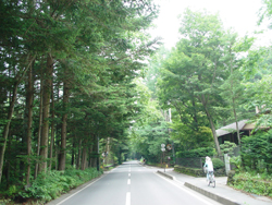 ���z�n�� 