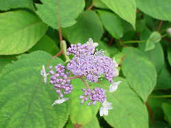 �^�}�A�W�T�C