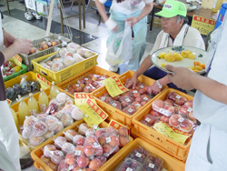 ���Ȃ̓S�������ό��E���Y�t�F�A