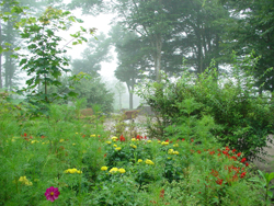 ���Ȃ̓S�������ό��E���Y�t�F�A