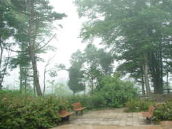 ����ۂ���