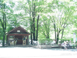 �y���^���A�Z��