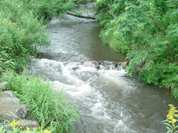 ���y���@����