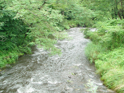 ���y���@����