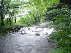 ���y���@����