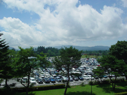 �y���w���