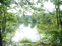 �y���w�ό��ē���