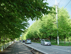 �y���w���