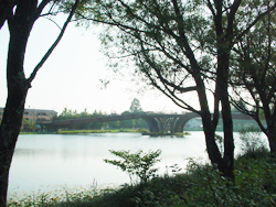 �y�����z�[��