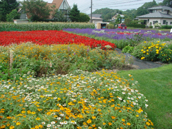 �������n��