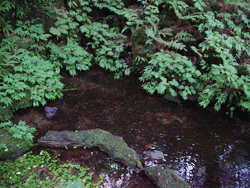 �y���h�̌�V��