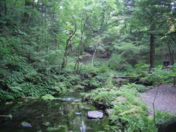 �y���h�̌�V��