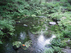 �y���h�̌�V��