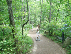 �n���j���e���X