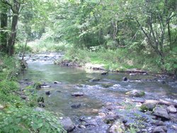 �n���j���e���X