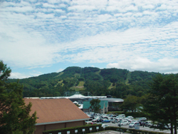 �y���w���