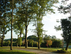 ����ӂ邳�ƌ���