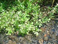 �N���\��