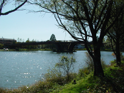 ���z�[��