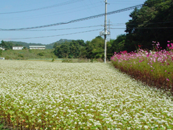 �����̉�