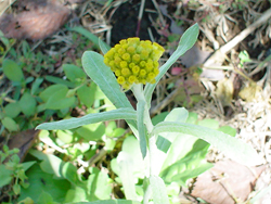 �z�E�R�O�T