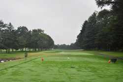 �y���72�S���t�@���E�S�[���h�R�[�X