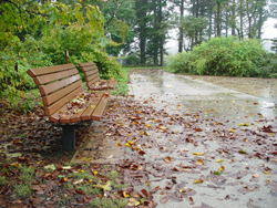 ����ӂ邳�ƌ���