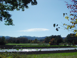 ���z�n��