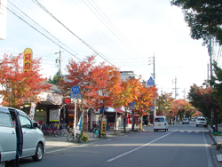 ���y���@