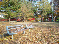 ���q�k����