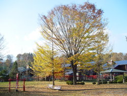 ���q�k����