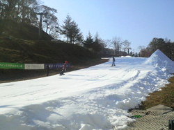 �y���v�����X�z�e���X�L�[��