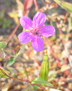 �A�T�}�t�E��