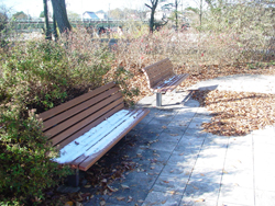 ����ӂ邳�ƌ���