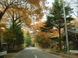 ���C�����v�����X�ʂ�