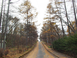 �烖��ʑ��n