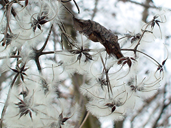 �{�^���Y��