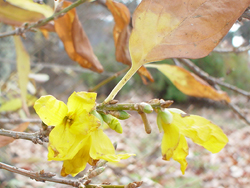 �����M���E