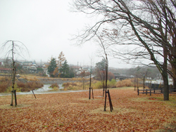 ���y���@����ӂ邳�ƌ���