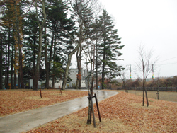 ���y���@����ӂ邳�ƌ���