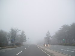 �v�����X�ʂ�