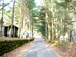 ���y��� ���H�[���Y���[��