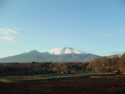 ���z�n��