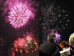 �y���E�C���^�[�t�F�X�e�B�o��2010