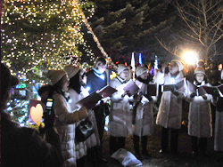 �y���E�C���^�[�t�F�X�e�B�o��2010